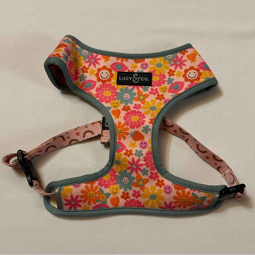XL Harness - Multicolor